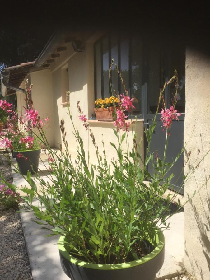 נים Chambres D'Hotes Lovely Planette מראה חיצוני תמונה